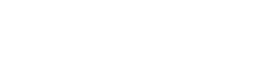 raceresult logo